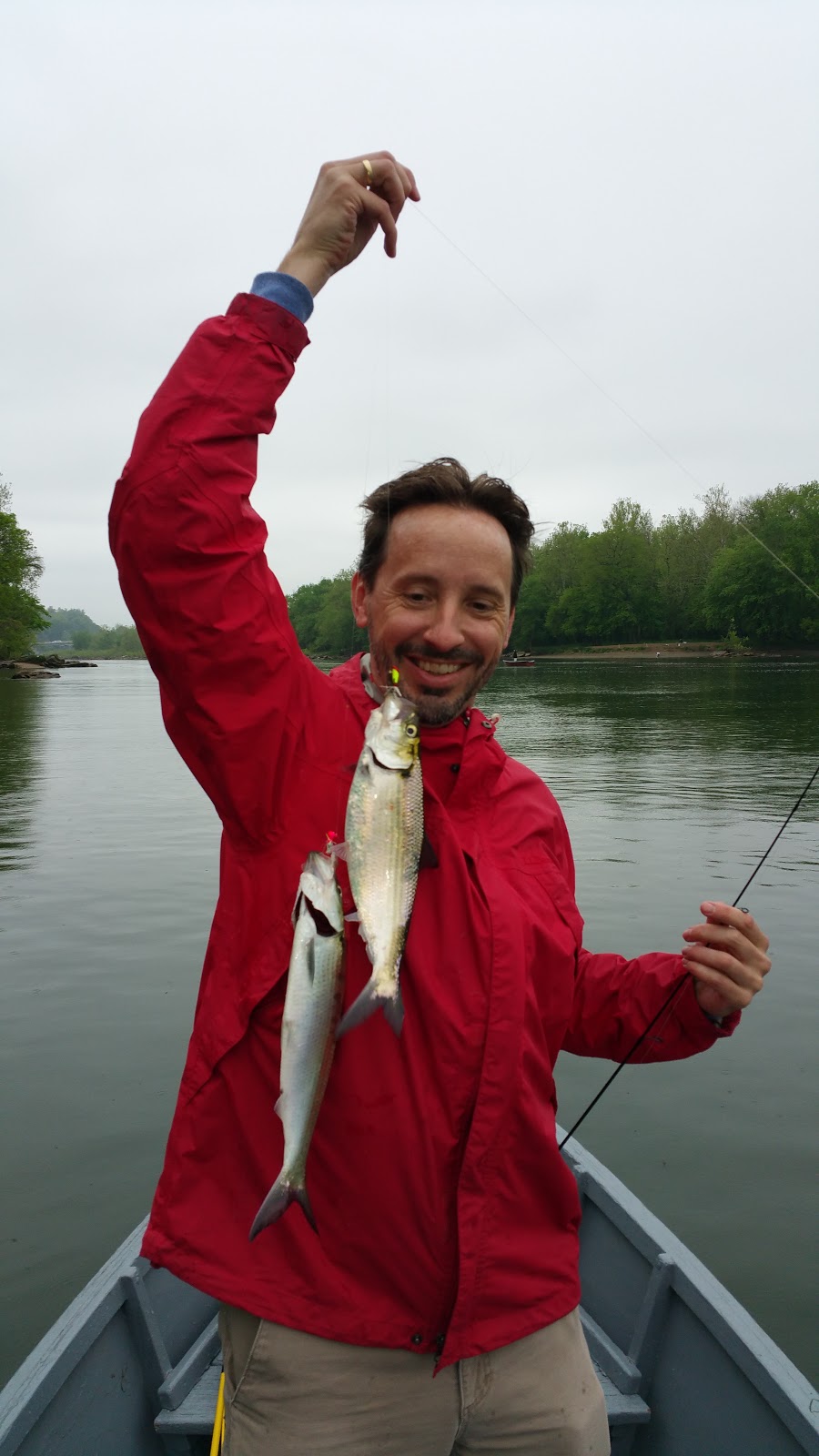 Shad Fishing On the Potomac River In Washington, DC, April 27, 2016
